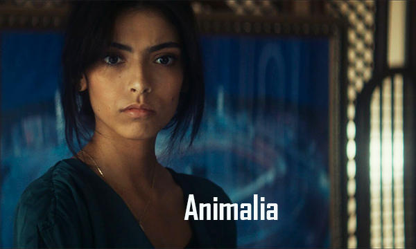 animalia