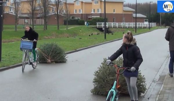 Kinderen aan de slag met ophalen en inleveren kerstbomen